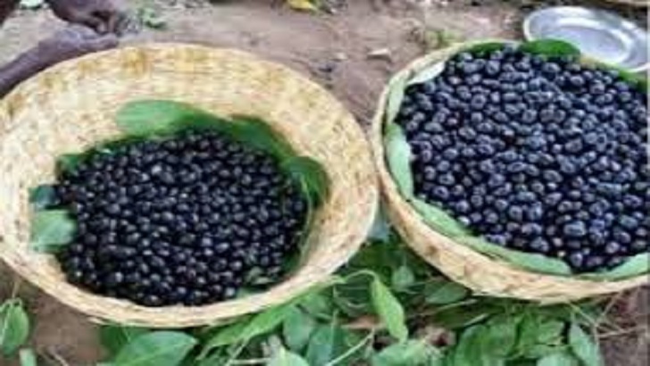 kalo jam