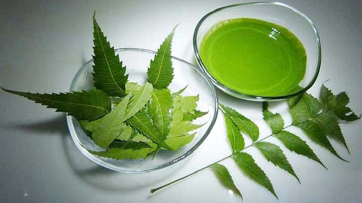 নিমপাতা